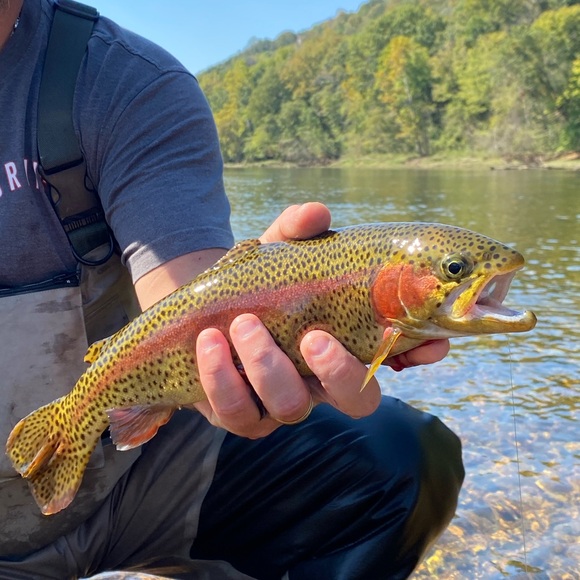 Hi there, I’m Kay! Okay, love ya bye! ✌🏼 - Picture 7 of 13